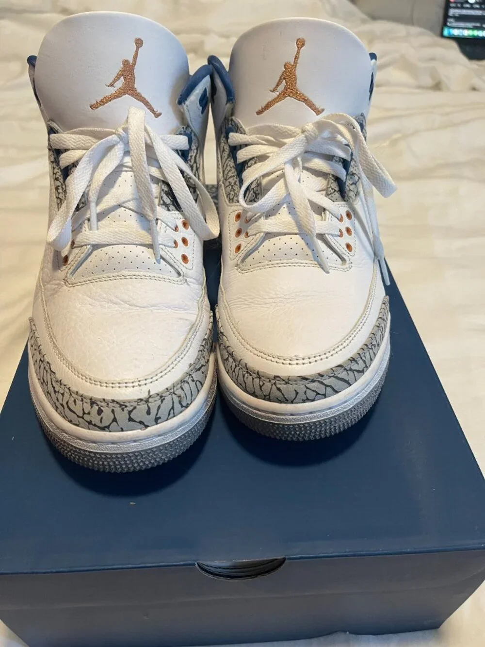 Jordan 3 Retro Wizards